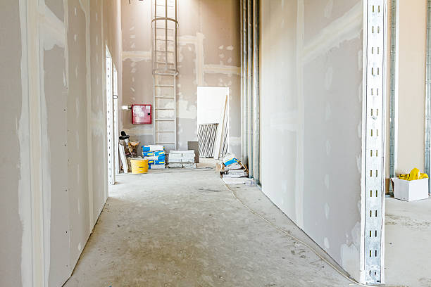 Best Drywall Removal and Disposal  in Third Lake, IL